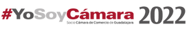 Logotipo del Footer